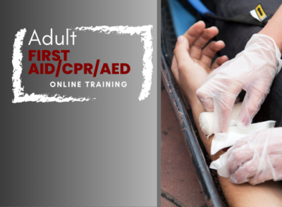 Adult First Aid/CPR/AED Online Training