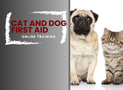 Dog and Cat First Aid Online Training